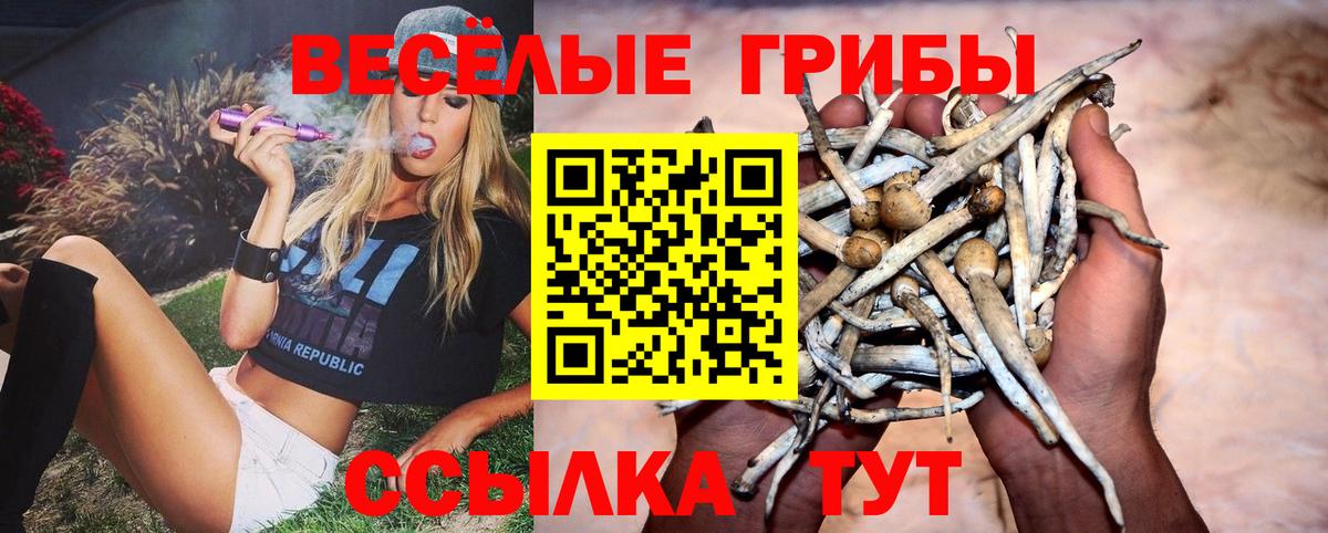 Галлюциногенные грибы мухоморы  Вход с VPN  купить закладку  Пугачёв 